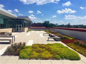 Green Roof